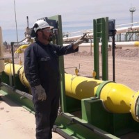 alberto Ariel pelegrini