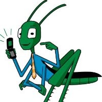 Grass Hopper
