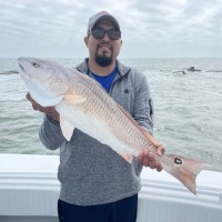 Matthew Guerrero