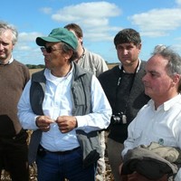 Marcelo Gallucci
