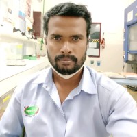 Sudhakar E