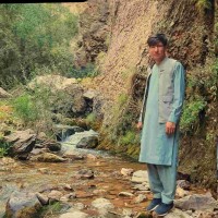Mohammad Halim Hakimi