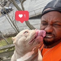 Wayne J