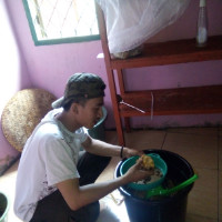Esnandar Fitri