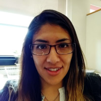 Marisol Pineda Rangel