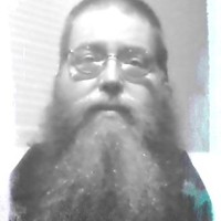 The Bear King