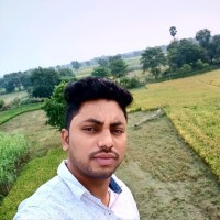 Raja Babu