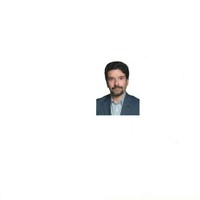 Reza Naini