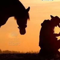 JARBI MOISÉS SALVADOR SALVADOR