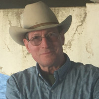 Michael Lemmer
