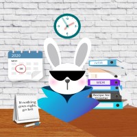 Regulatory Rabbit