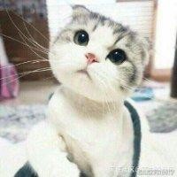 王瑞欢