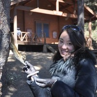 Leilei Wang