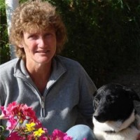 Deborah Vrbicek