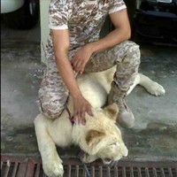 Mohamed Alhlale