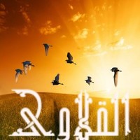 محمدالامين القلاوي