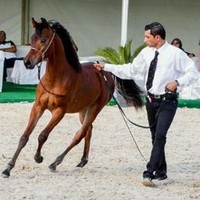 MoradAllah Sedki Zaki