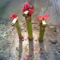 Nazmul Hossain