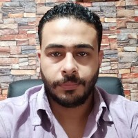 Hamdy Mohamed Hamdy