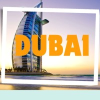 IMMIGRATION CONSULTANT