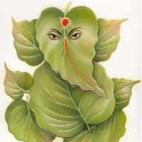 Sachin Sharma