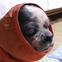 서인보