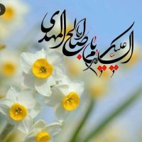 Farbod Nouri Tajer