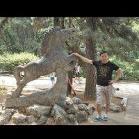 李晓武