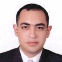 Mohamed Hamed Ahmed