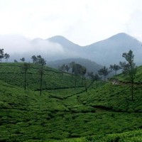 Venkat Ganesh