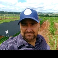 Vagner Rogério Luciano Da Silva