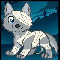 Willians Wolf