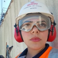 Ariadne Galhardi