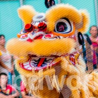 Zi Cheng