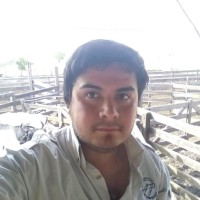 Nicolas Eliceche Yegros