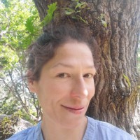 Louise Gillain