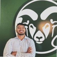 Deepak Mangsuli