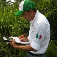 Jose Pech Q