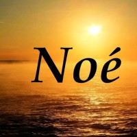 N P