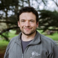 Kyle Mchale