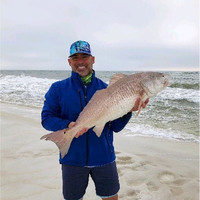 Mark Torrez