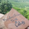 Freedom Green