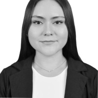 Ana Sofia Alva Flores