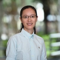 Qin (Michelle) Wang