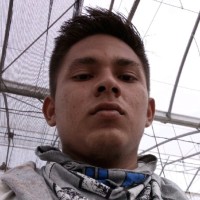 LUIS ANGEL C. VEGA