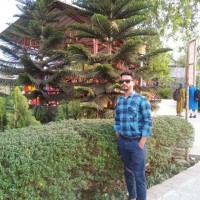 Md. Enamul Hoque