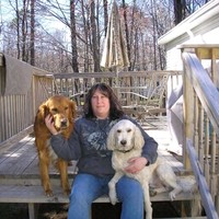 Stacy Dehut