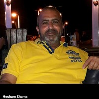 Hesham Shams