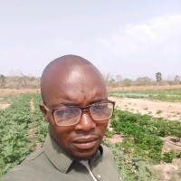 Hama Toloba