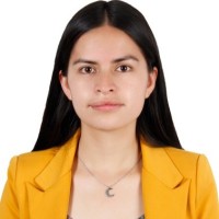 Diana Cristina Uscategui Alulema